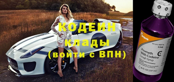 соль ск Пестово