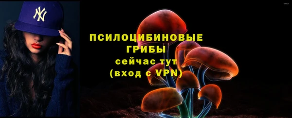 герыч Переславль-Залесский