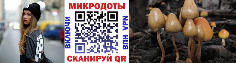 где продают наркотики  Алупка  Галлюциногенные грибы Magic Shrooms 